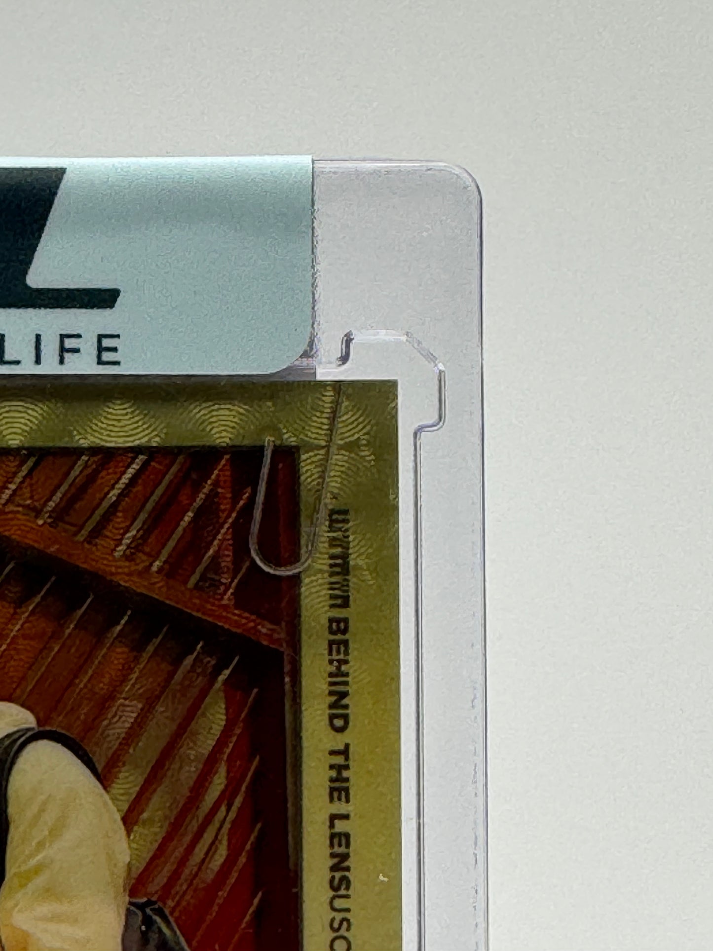 ALEJANDRO GARNACHO AUTOGRAPH 1/1